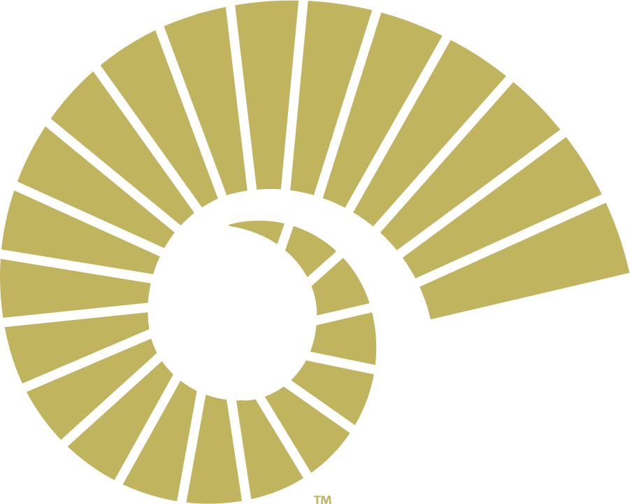 Colorado State Rams 2021-Pres Secondary Logo v2 diy iron on heat transfer